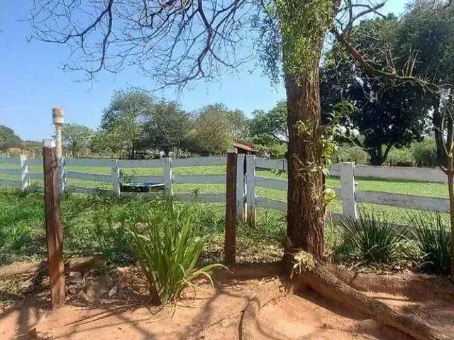 Sítio e chácara venda em Região Imediata de São José do Rio Preto, Região Metropolitana de São José do Rio Preto