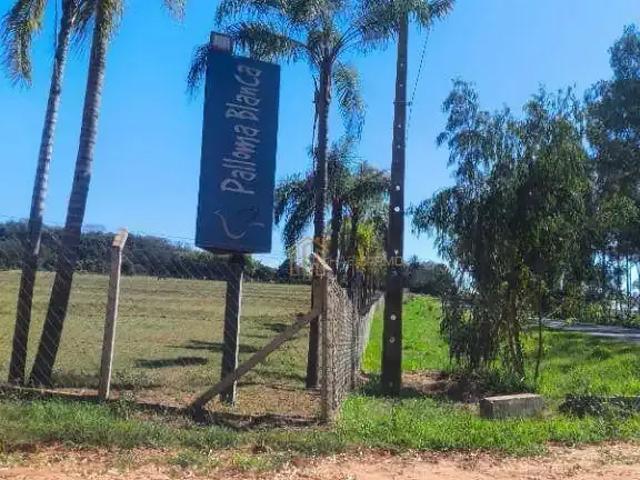 Sítio e chácara venda em Região Imediata de São José do Rio Preto, Região Metropolitana de São José do Rio Preto