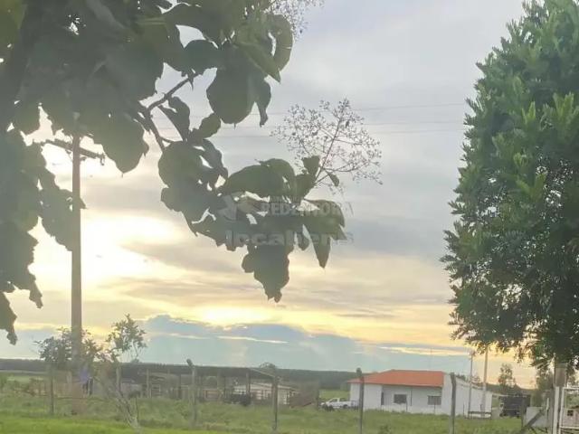 Sítio e chácara venda em Região Imediata de São José do Rio Preto, Região Metropolitana de São José do Rio Preto