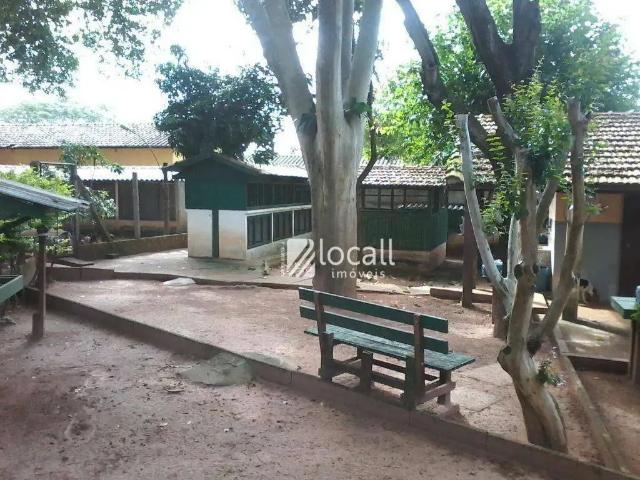 Sítio e chácara venda em Região Imediata de São José do Rio Preto, Região Metropolitana de São José do Rio Preto