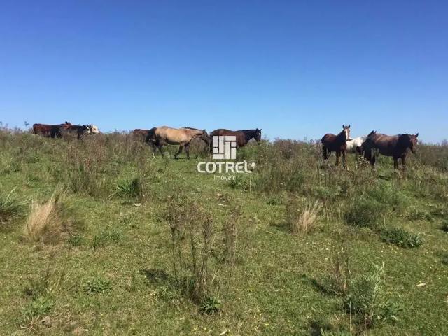 Sítio e chácara venda em Região Geográfica Imediata de Bagé, Bagé