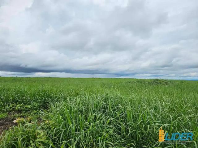 Sítio e chácara venda em Região Geográfica Imediata de Iporá, Baliza