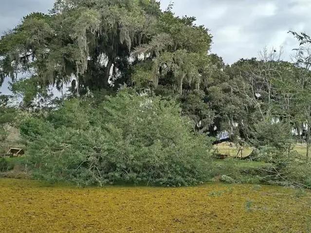 Sítio e chácara venda em Região Geográfica Imediata de Araranguá, Balneario Gaivota