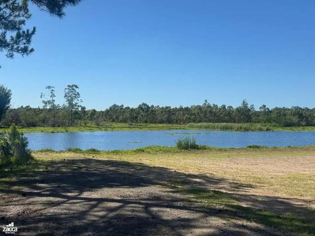 Sítio e chácara venda em Região Geográfica Imediata de Araranguá, Balneario Gaivota