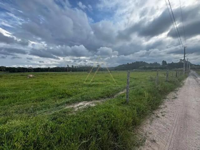 Sítio e chácara venda em Região Geográfica Imediata de Itajaí, Piçarras