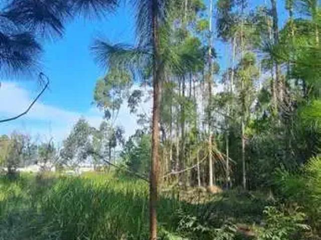 Sítio e chácara venda em Região Geográfica Imediata de Itajaí, Piçarras