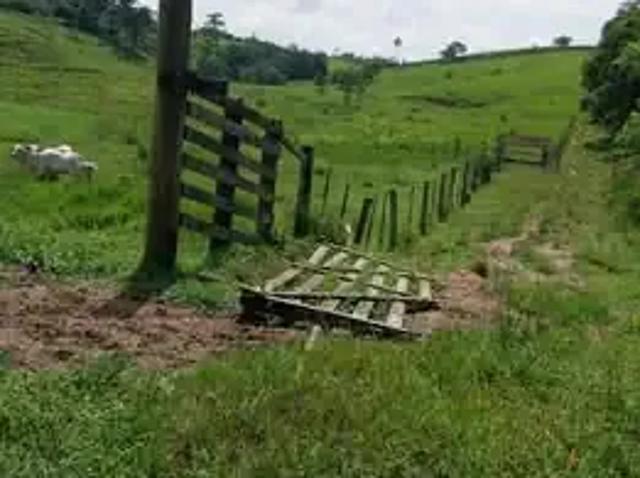 Sítio e chácara venda em Região Geográfica Imediata de Itajaí, Piçarras