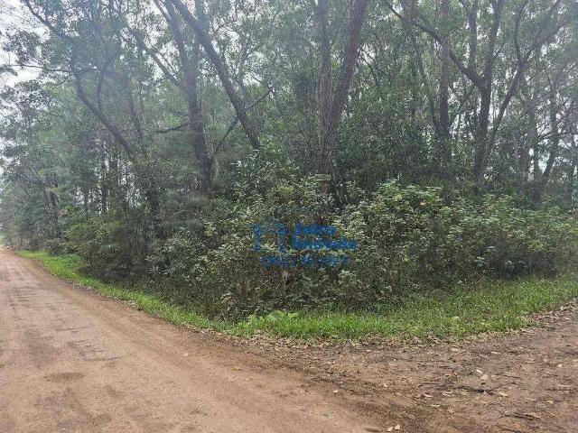 Sítio e chácara venda em Pinhal-Sede, Balneário Pinhal