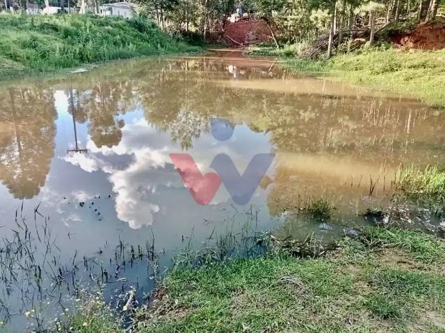 Sítio e chácara venda em Balsa Nova, Região Geográfica Intermediária de Curitiba
