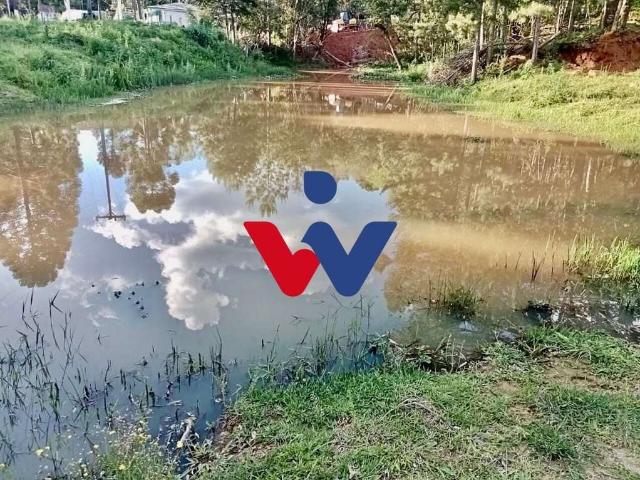 Sítio e chácara venda em Região Geográfica Imediata de Curitiba, Região Metropolitana de Curitiba