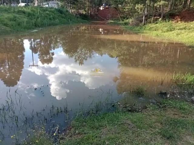 Sítio e chácara venda em Região Geográfica Imediata de Curitiba, Região Metropolitana de Curitiba