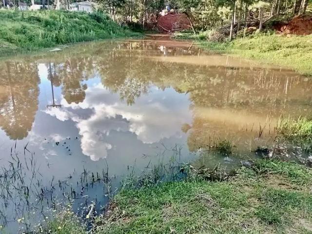 Sítio e chácara venda em Região Geográfica Imediata de Curitiba, Região Metropolitana de Curitiba