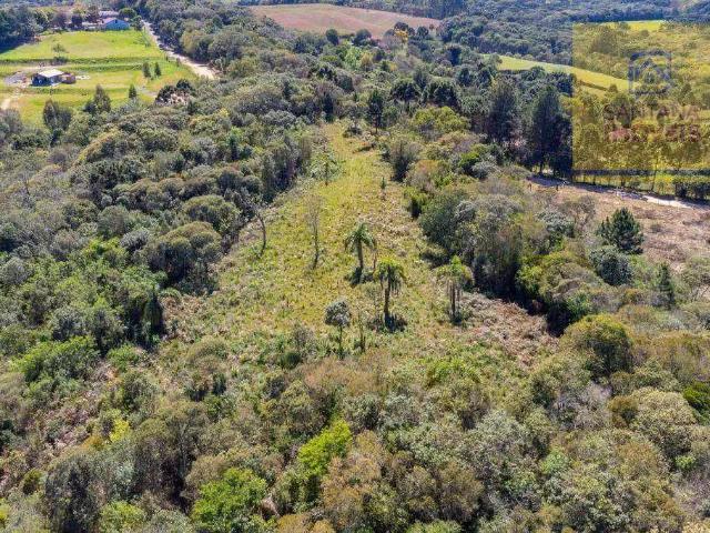 Sítio e chácara venda em Região Geográfica Imediata de Curitiba, Região Metropolitana de Curitiba