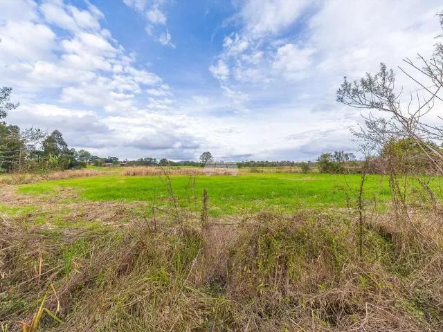 Sítio e chácara venda em Região Geográfica Imediata de Curitiba, Região Metropolitana de Curitiba