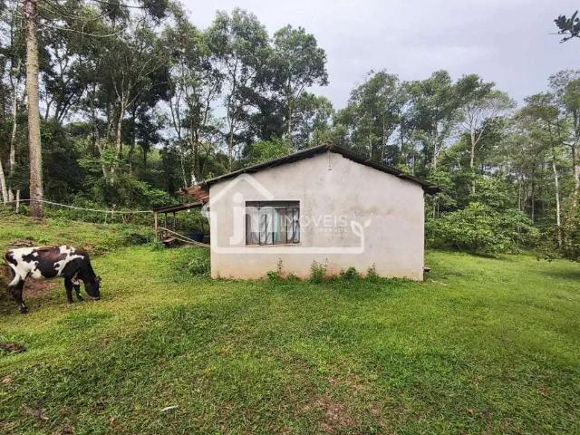 Sítio e chácara venda em Região Geográfica Imediata de Curitiba, Região Metropolitana de Curitiba