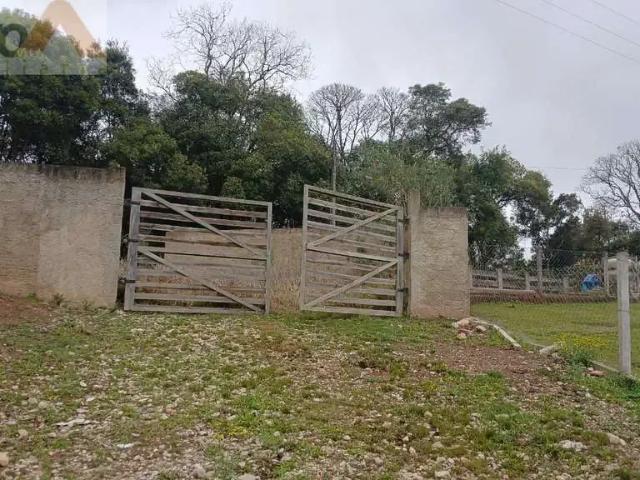 Sítio e chácara venda em Região Geográfica Imediata de Curitiba, Região Metropolitana de Curitiba