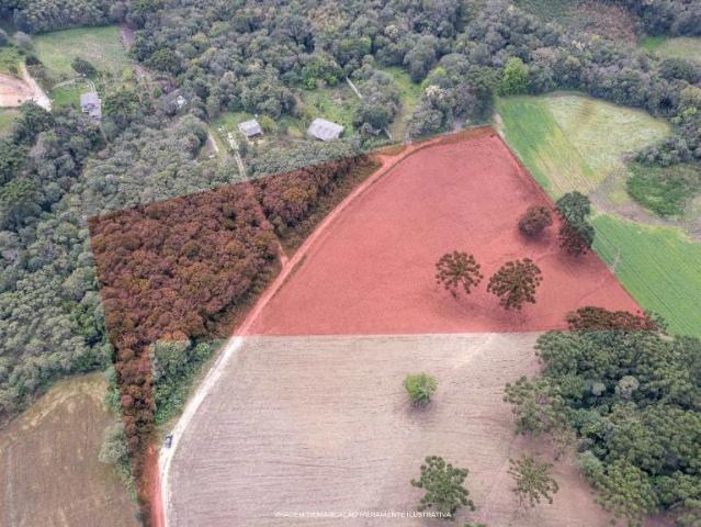 Sítio e chácara venda em Balsa Nova, Região Geográfica Intermediária de Curitiba