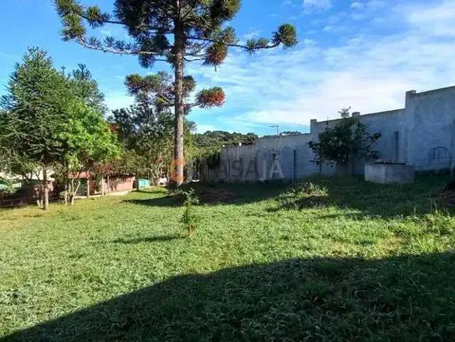 Sítio e chácara venda em Região Geográfica Imediata de Curitiba, Região Metropolitana de Curitiba