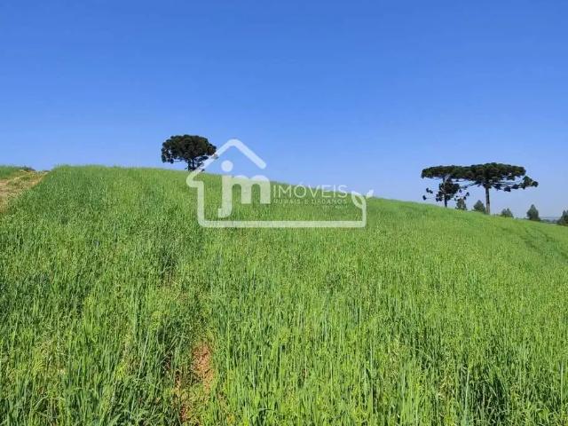 Sítio e chácara venda em Região Geográfica Imediata de Santo Antônio da Platina, Santo Antônio da Platina