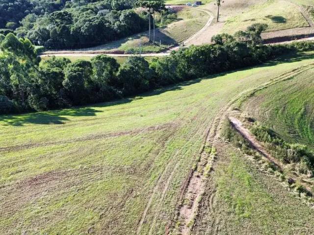 Sítio e chácara venda em Região Geográfica Imediata de Blumenau, Rodeio