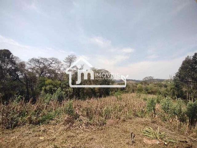 Sítio e chácara venda em Região Geográfica Imediata de Curitiba, Região Metropolitana de Curitiba