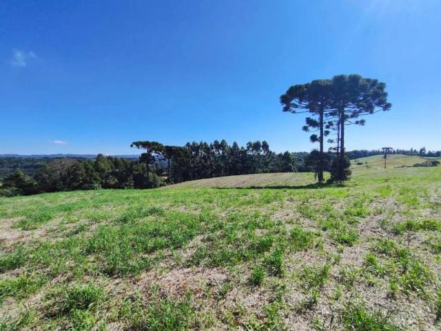 Sítio e chácara venda em Região Geográfica Imediata de Curitiba, Região Metropolitana de Curitiba