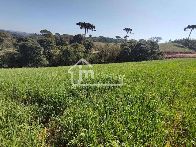Sítio e chácara venda em Região Geográfica Imediata de Curitiba, Região Metropolitana de Curitiba