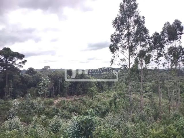 Sítio e chácara venda em Região Geográfica Imediata de Curitiba, Região Metropolitana de Curitiba