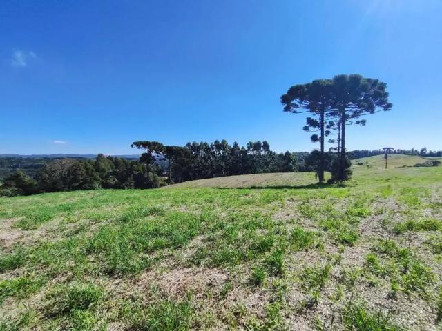 Sítio e chácara venda em Região Geográfica Imediata de Santo Antônio da Platina, Santo Antônio da Platina