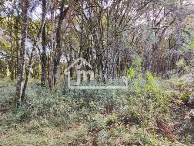 Sítio e chácara venda em Região Geográfica Imediata de Curitiba, Região Metropolitana de Curitiba
