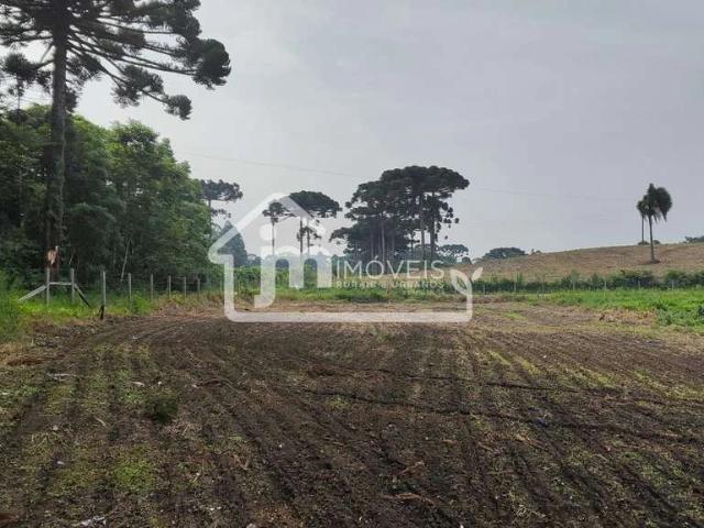Sítio e chácara venda em Região Geográfica Imediata de Curitiba, Região Metropolitana de Curitiba