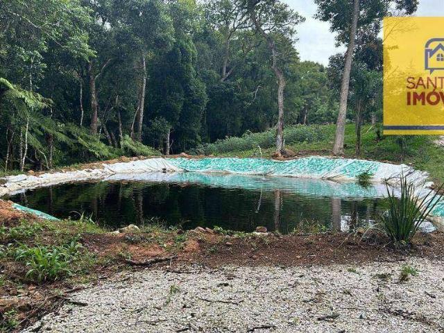 Sítio e chácara venda em Região Geográfica Imediata de Curitiba, Região Metropolitana de Curitiba