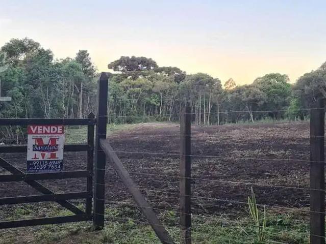 Sítio e chácara venda em Região Geográfica Imediata de Curitiba, Região Metropolitana de Curitiba