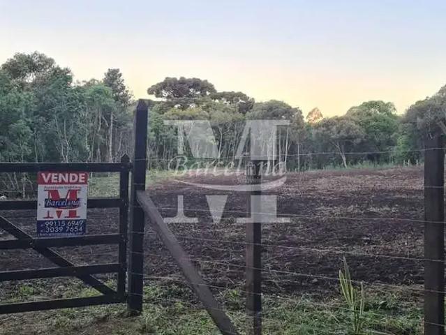 Sítio e chácara venda em Região Geográfica Imediata de Curitiba, Região Metropolitana de Curitiba
