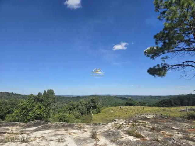Sítio e chácara venda em Região Geográfica Imediata de Curitiba, Região Metropolitana de Curitiba