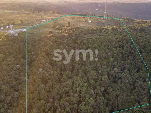 Sítio e chácara venda em Região Geográfica Imediata de Curitiba, Região Metropolitana de Curitiba