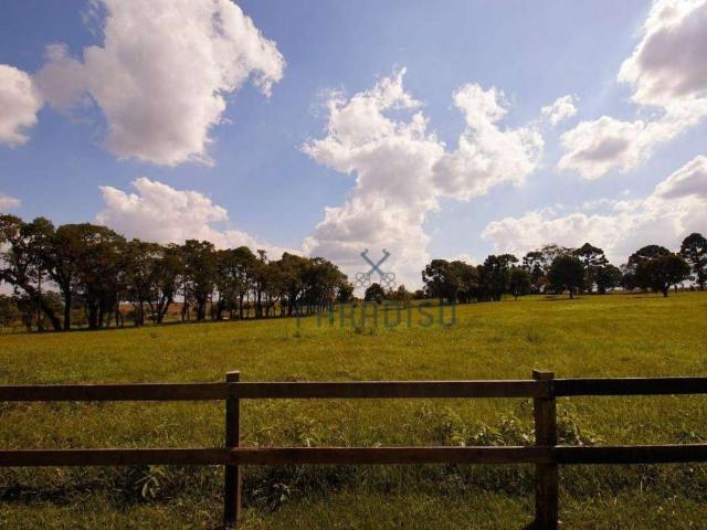 Sítio e chácara venda em Região Geográfica Imediata de Curitiba, Região Metropolitana de Curitiba