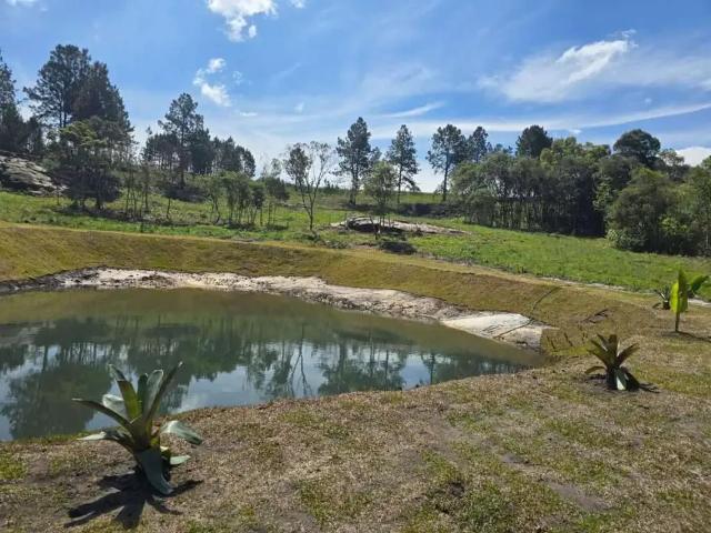 Sítio e chácara venda em Região Geográfica Imediata de Curitiba, Região Metropolitana de Curitiba