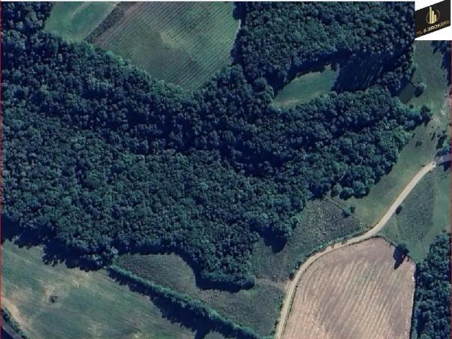 Sítio e chácara venda em Região Geográfica Imediata de Curitiba, Região Metropolitana de Curitiba