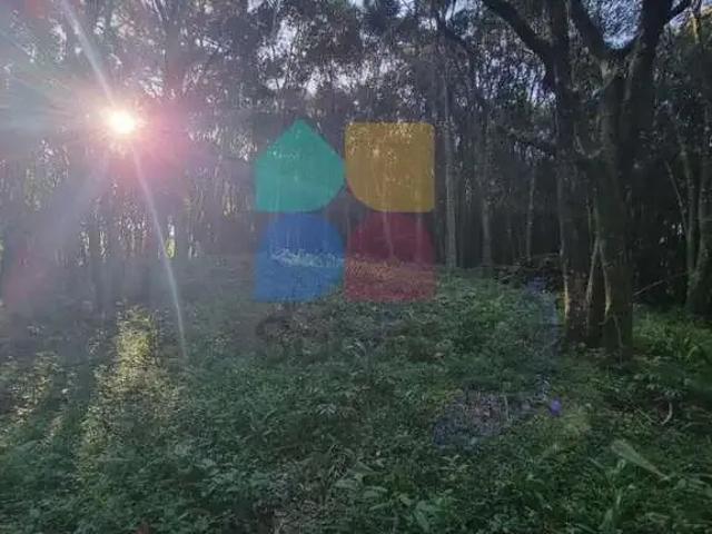 Sítio e chácara venda em Região Geográfica Imediata de Curitiba, Região Metropolitana de Curitiba