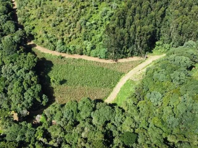 Sítio e chácara venda em Região Geográfica Imediata de Curitiba, Região Metropolitana de Curitiba