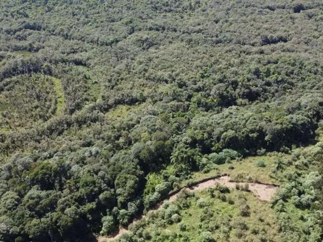 Sítio e chácara venda em Região Geográfica Imediata de Curitiba, Região Metropolitana de Curitiba