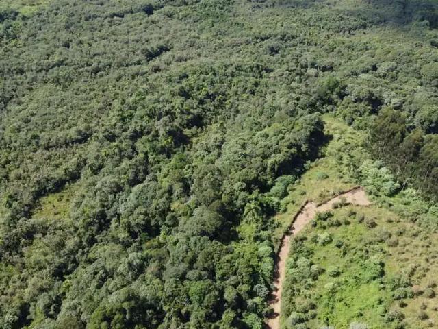 Sítio e chácara venda em Região Geográfica Imediata de Curitiba, Região Metropolitana de Curitiba