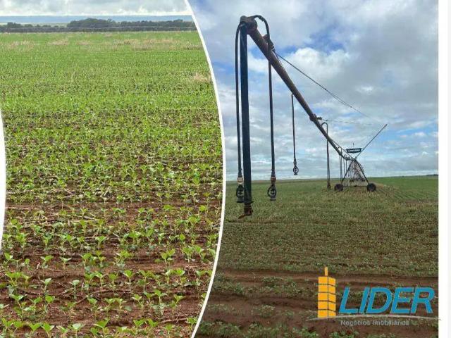 Sítio e chácara venda em Balsas, Região Nordeste
