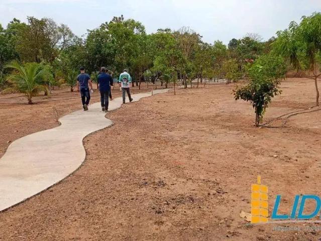 Sítio e chácara venda em Balsas, Região Nordeste