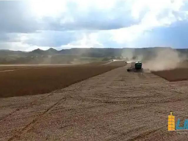 Sítio e chácara venda em Balsas, Região Nordeste