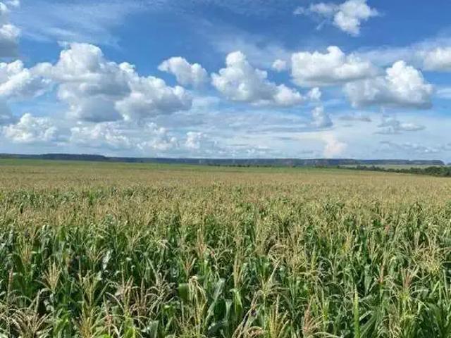 Sítio e chácara venda em Balsas, Região Nordeste
