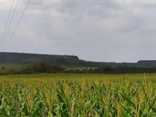 Sítio e chácara venda em Balsas, Região Nordeste