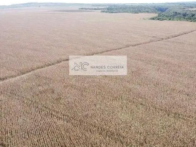 Sítio e chácara venda em Balsas, Região Nordeste