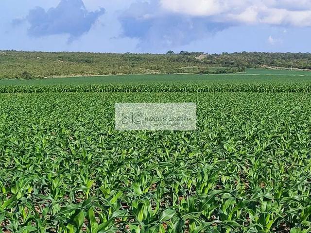 Sítio e chácara venda em Balsas, Região Nordeste